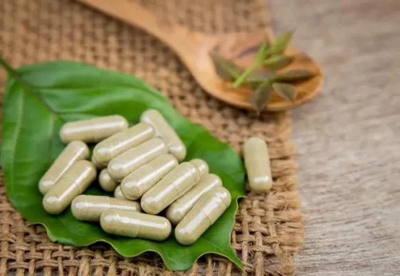 Kratom policy: The challenge of balancing therapeutic potential with public safety