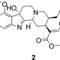 Chemical composition and biological effects of kratom (Mitragyna speciosa): In vitro studies with implications for efficacy and drug interactions